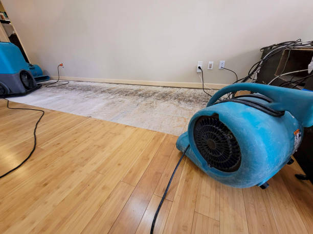 Professional Basement Flood Cleanup technician working in Paxton, MA